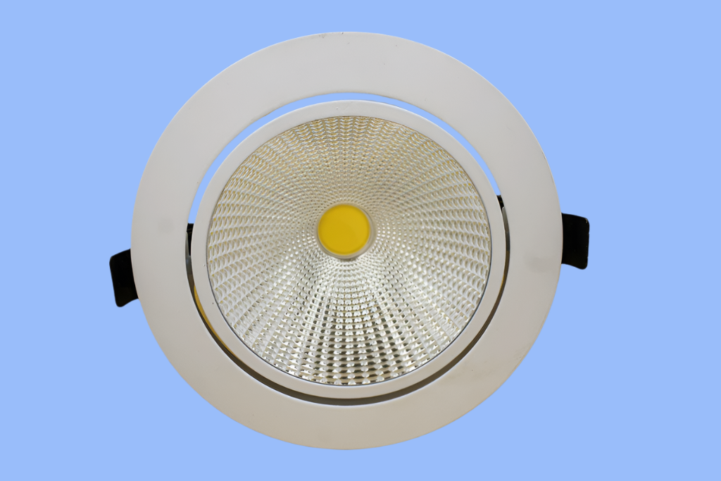 SSL-009R 30W LED Spot Light