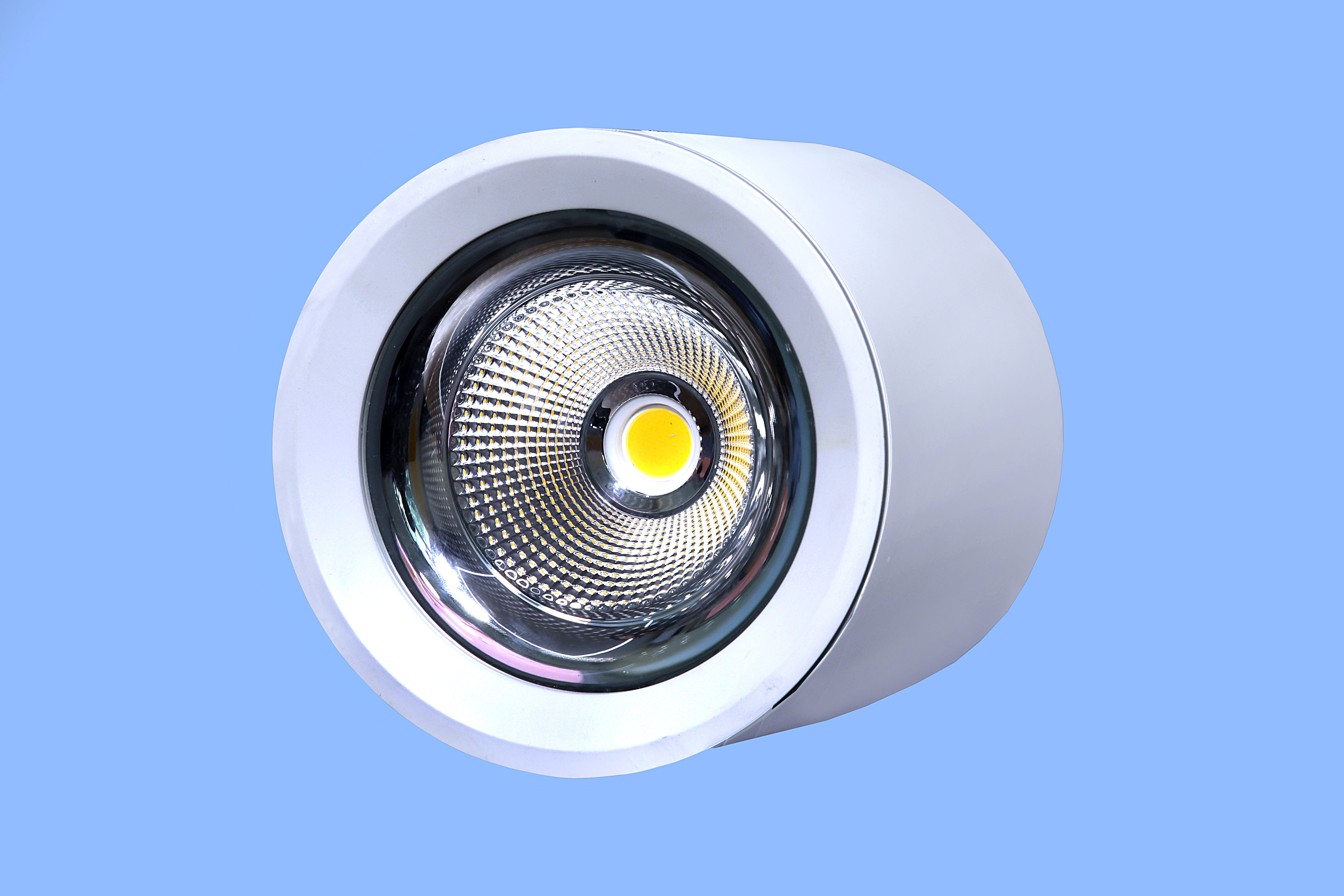 prm 30W cob surface spot light White