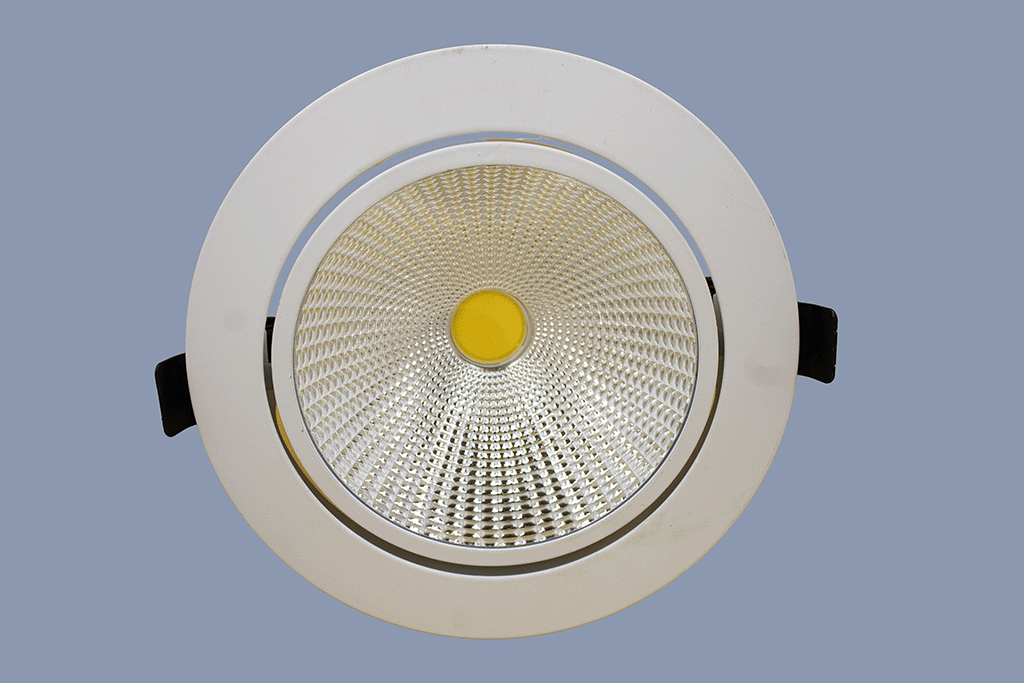 SSL-009R 30W LED Spot Light